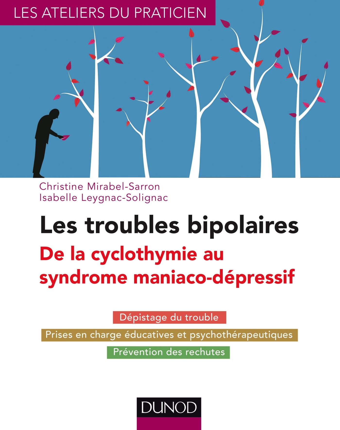 Les troubles bipolaires : de la cyclothymie au syndrome maniaco ...
