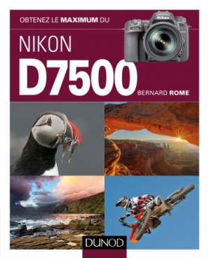 Obtenez le maximum du Nikon D7500