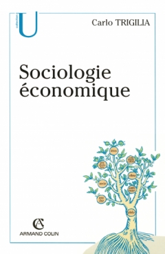 Sociologie économique