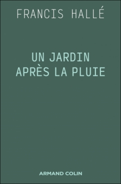 Un jardin après la pluie