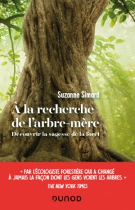 A la recherche de l'arbre-mère