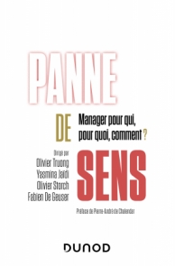 Panne de sens