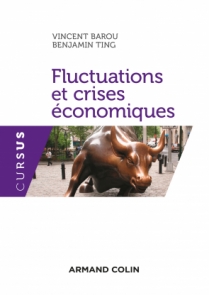 Fluctuations et crises économiques