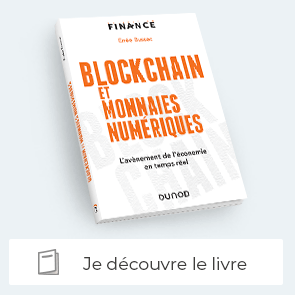 livre "blockchains et monnaies numériques"