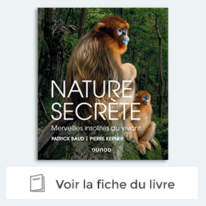 Livre Nature secrete de Patrick baud et Pierre Kerner