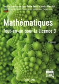 Mathématiques Tout-en-un pour la Licence 3