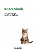 Data Mesh