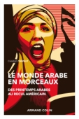 Le monde arabe en morceaux