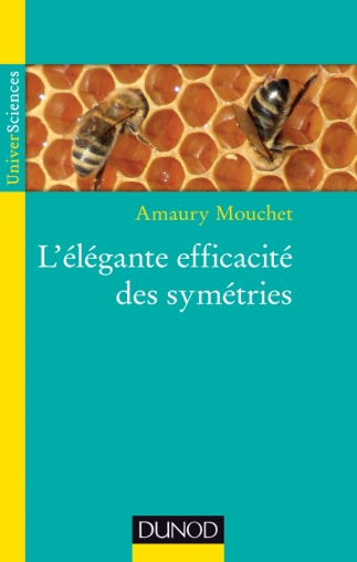 L'élégante efficacité des symétries