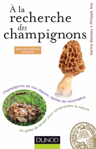 A la recherche des champignons - Un guide de terrain pour comprendre la  nature, Un guide de terrain pour comprendre la nature - Champignons de nos  forêts, sachez les reconnaître - Karine