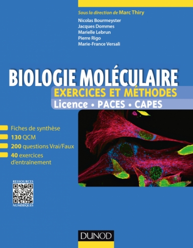 Biologie Moléculaire Exercices Et Méthodes Fiches De - 