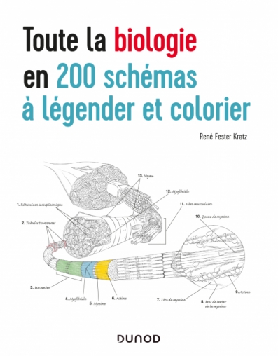 Toute La Biologie En 200 Schemas A Legender Et Colorier Livre Sciences De La Vie Et Sante De Rene Fester Kratz Dunod