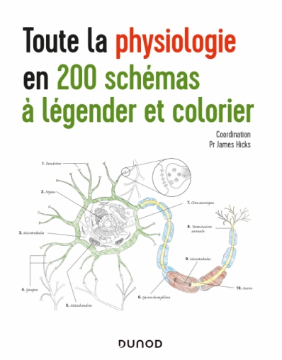 Toute La Physiologie En 200 Schemas A Legender Et Colorier Livre Sciences De La Vie Et Sante De James Hicks Dunod