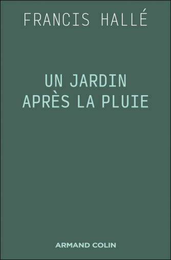 Un jardin après la pluie