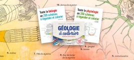 Biologie, physiologie, Géologie, 200 schémas à légender et colorier  pour un apprentissage actif 
