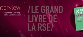 Le Grand Livre de la RSE (C.S.R.)