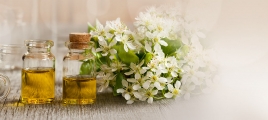 Phytothérapie, les solutions santé : le grand manuel
