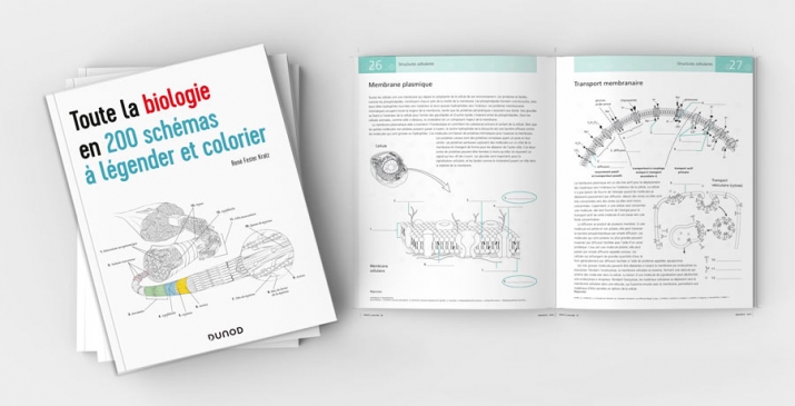 Biologie 200 schémas à colorier et légender