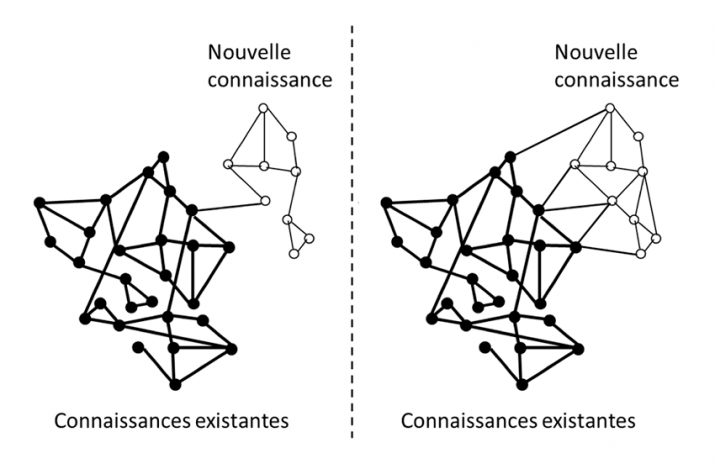 connaissances initiales VS connaissances nouvelles