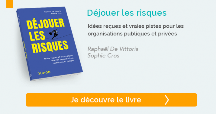 Déjouer les risques - Raphaël De Vittoris, Sophie Cros