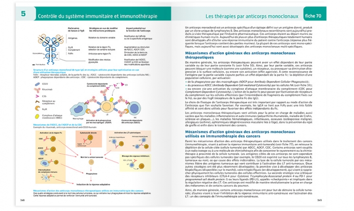 P148-149 de l'atlas d'immunologie