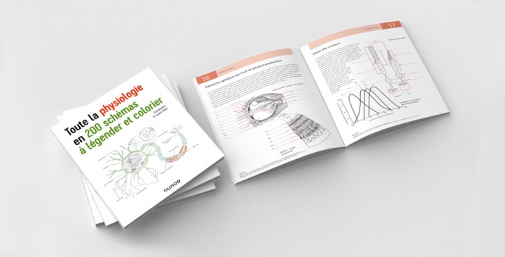 Physiologie, 200 schémas à colorier et légender