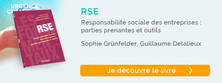 RSE Responsabilité sociale des entreprises