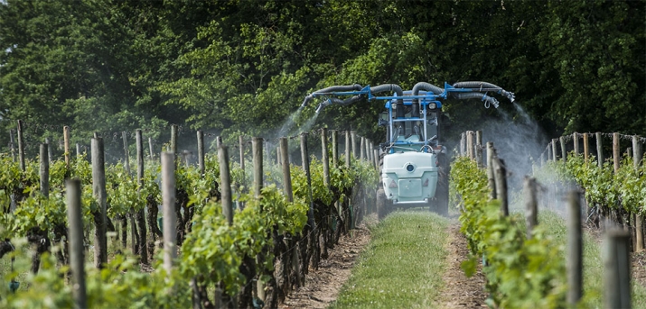 Traitement des vignes avec des pesticides