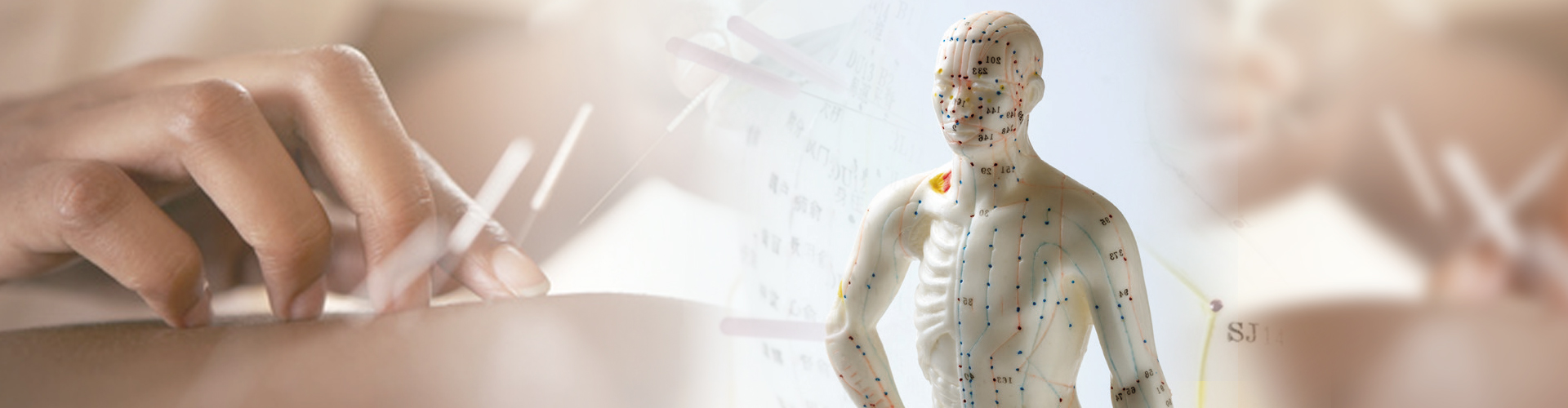 actu2_acupuncture-1920x500.jpg