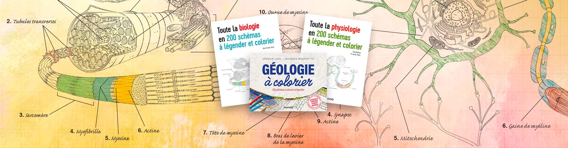 Biologie, physiologie, Géologie, 200 schémas à légender et colorier  pour un apprentissage actif 