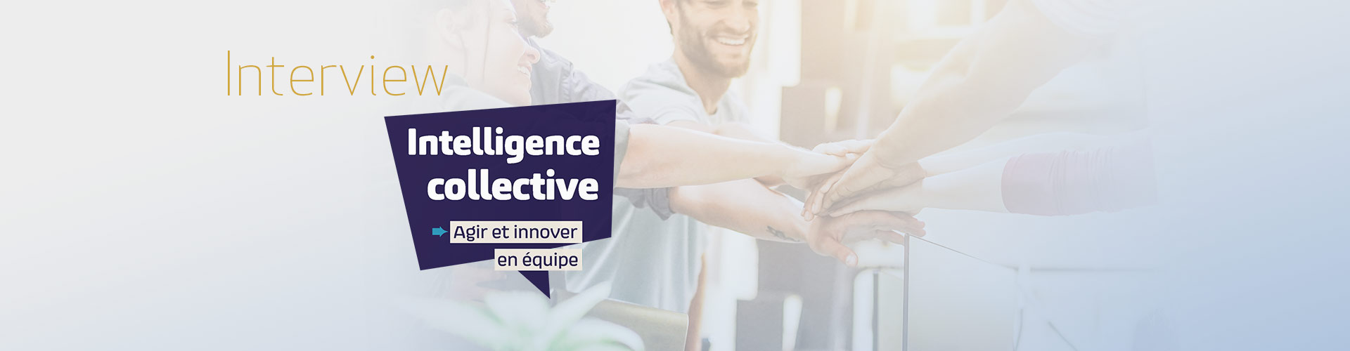 Interview : Intelligence collective, un état d’esprit