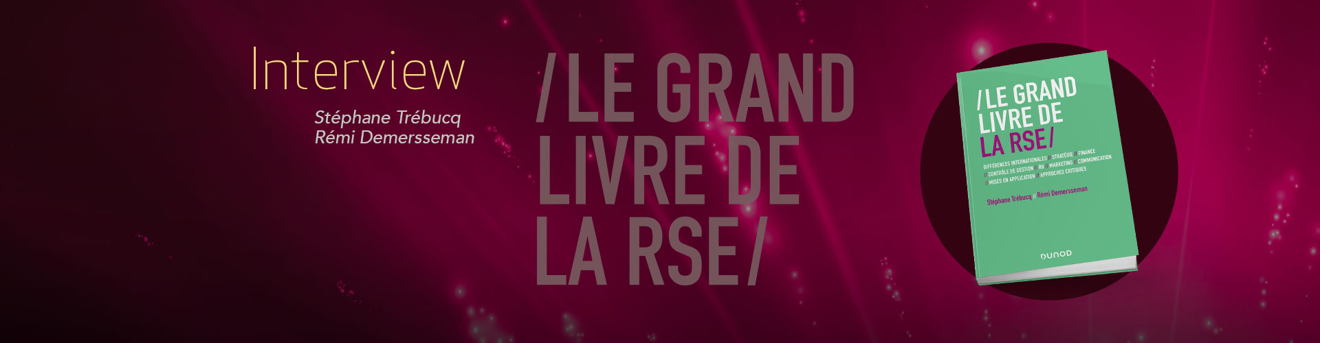 Le Grand Livre de la RSE (C.S.R.)